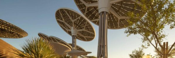 COP28 comunique banner image