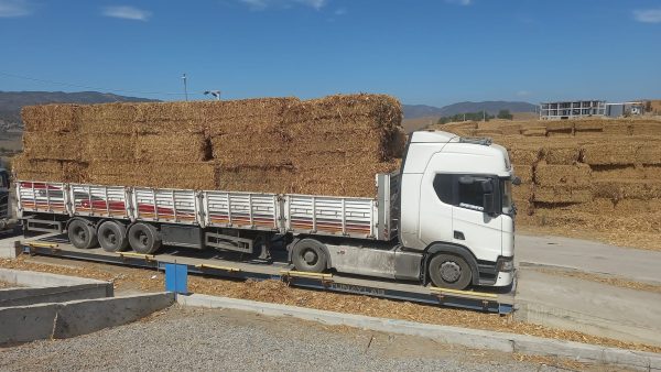 Corn stalks being delivered to the Cine plant where they will be used to produce bioenergy_c_Biotrend