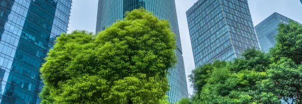 Green Public Procurement Guidance – Disclosure Requirements Report banner