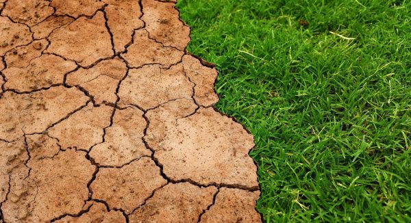 IDDI presentation-Turning the tide on climate change