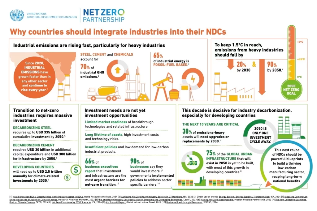 NZP Infografia_final-cover