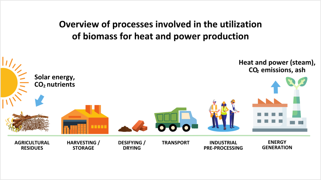 Overview of processes involved in the utilization of biomass for heat and power production