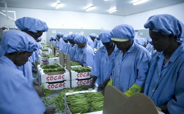 Senegal-food-green