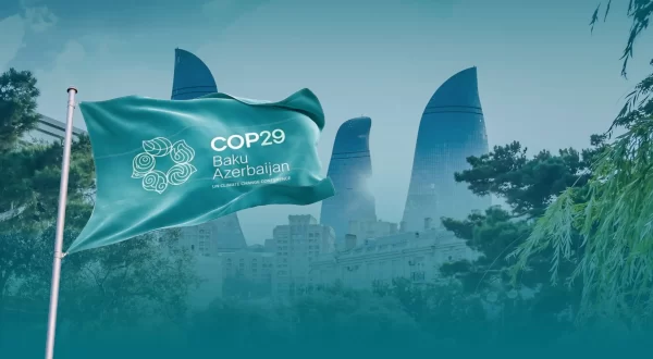 cop29 announcement