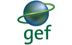 gef logo